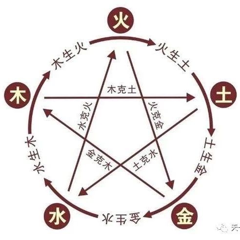 藏象和脏象学说的基本概念