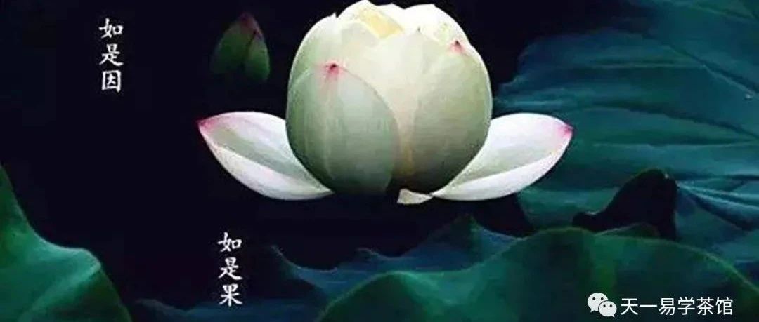 学易不可迷信所谓的权威资料，权威书籍