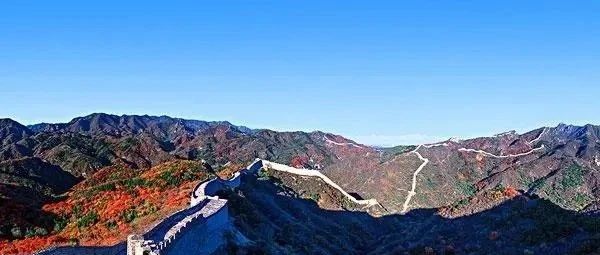 两个健康寿命卦的应期剖析
